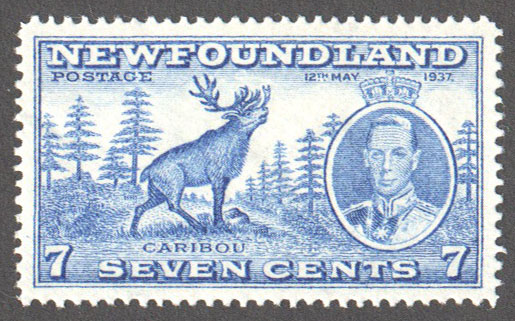 Newfoundland Scott 235 Mint VF (P14.1) - Click Image to Close